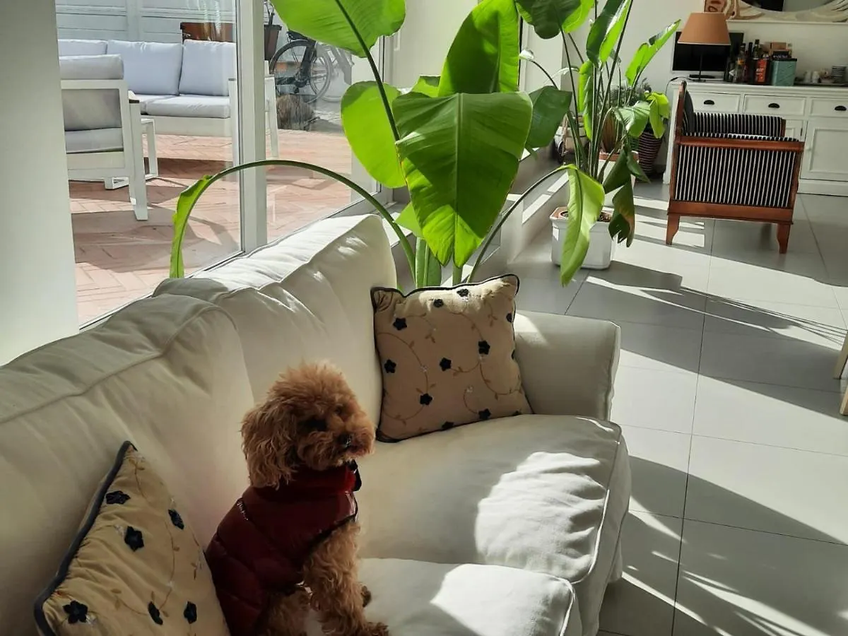 Bed & Breakfast Bed and Breakfast Mon Pays Bellaria-Igea Marina